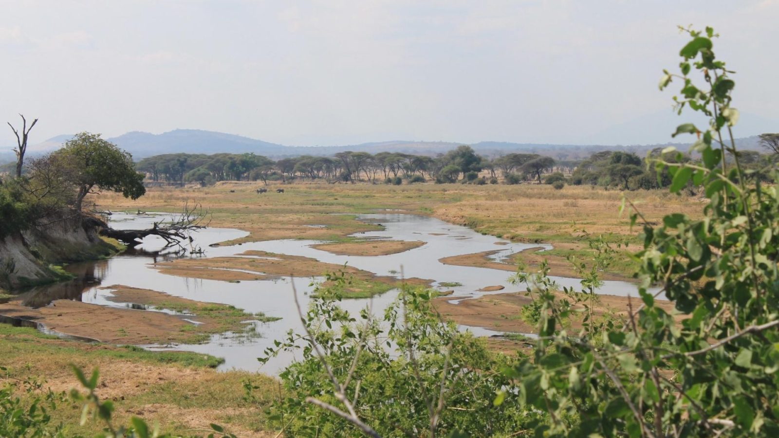 A braided river spread across sandbanks below hazy hills