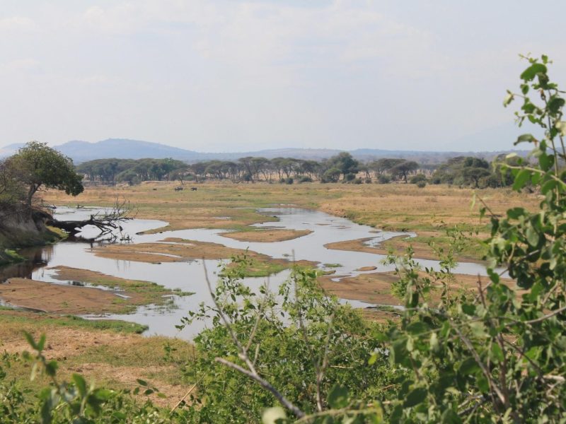 Kagera River