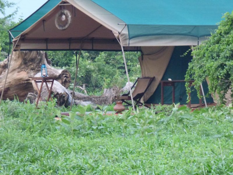 Camping Safari in Burigi-Chato National Park
