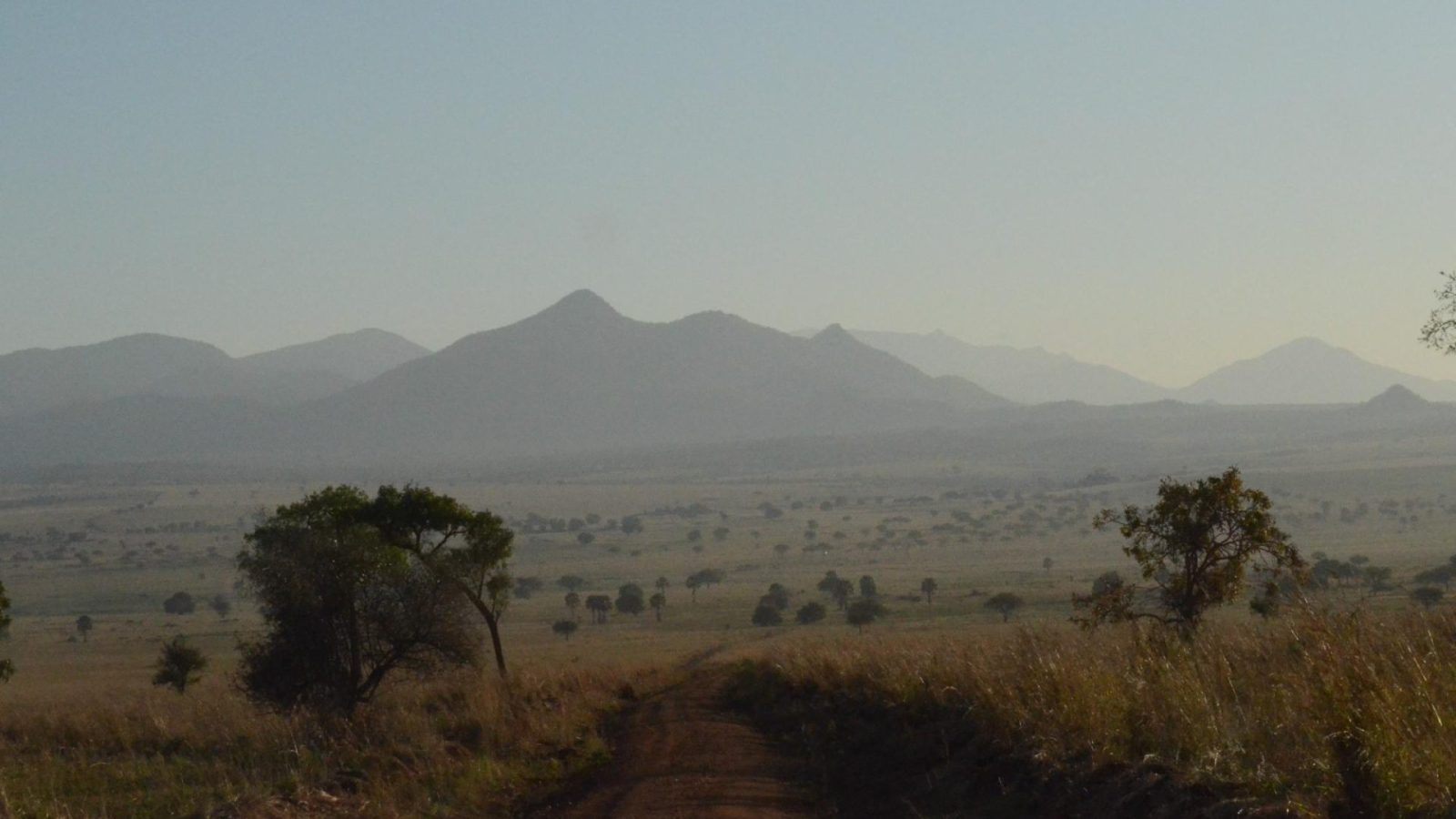 A dirt track running straight toward a hazy blue mountain range