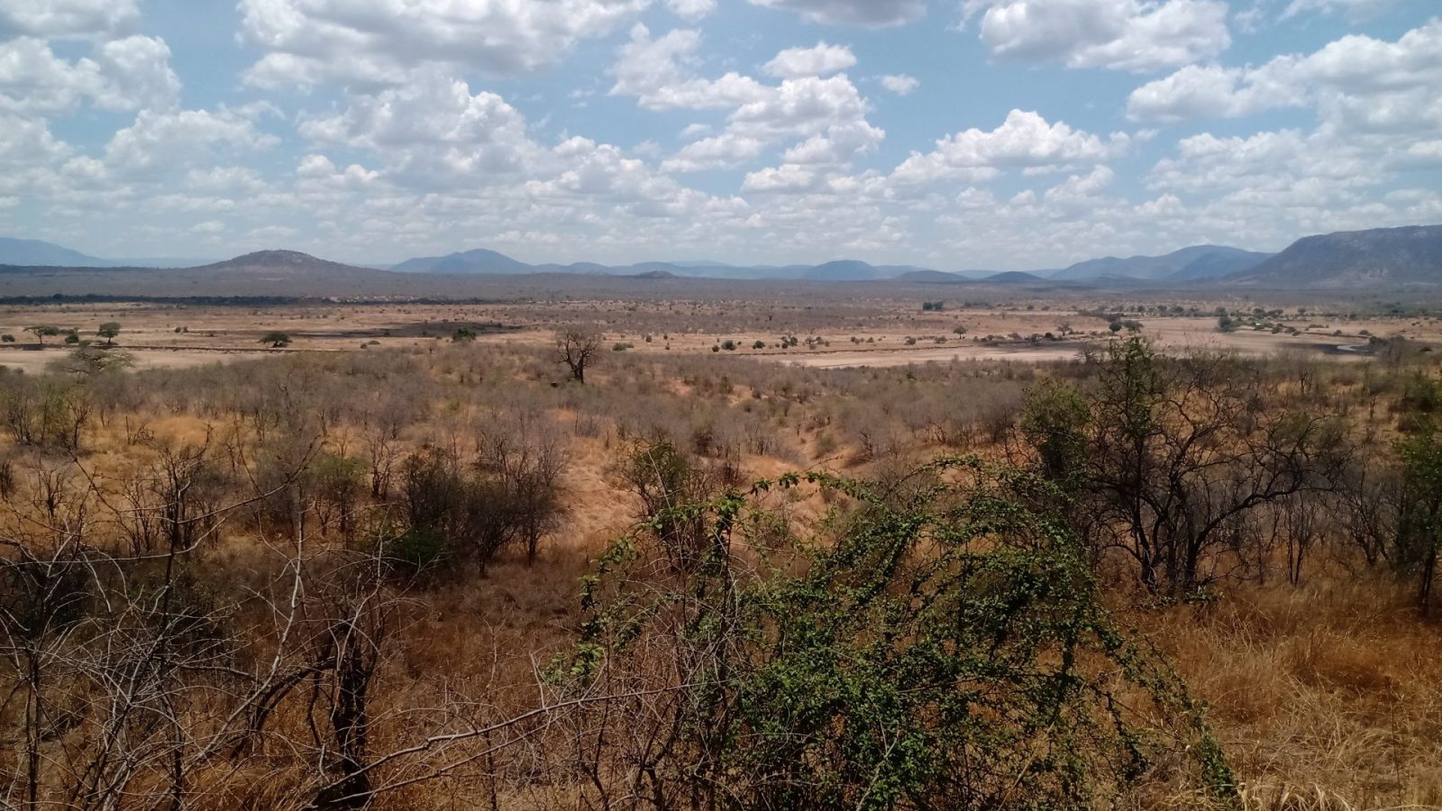 A dry-season panorama across open bush country toward distant blue hills