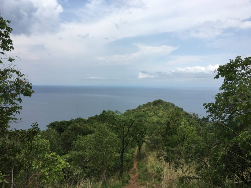 Guided Nature Walks in Burigi-Chato National Park