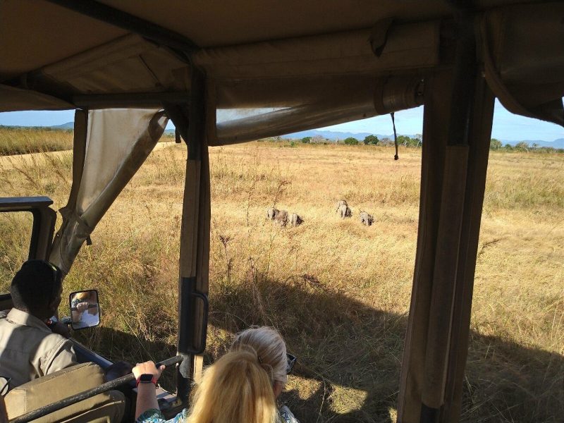 Which Tour Operators Offer Burigi-Chato Safaris?