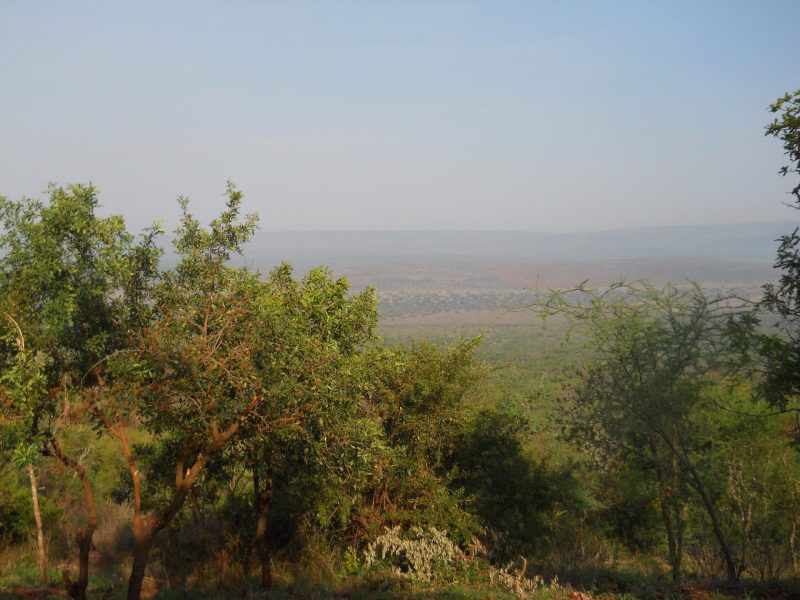 Merged Burigi-Biharamulo-Kimisi Landscapes
