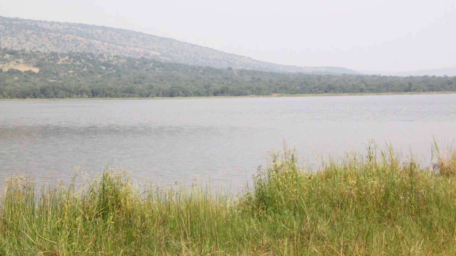 A wide lake backed by rolling green hills seen from a hillside campsite