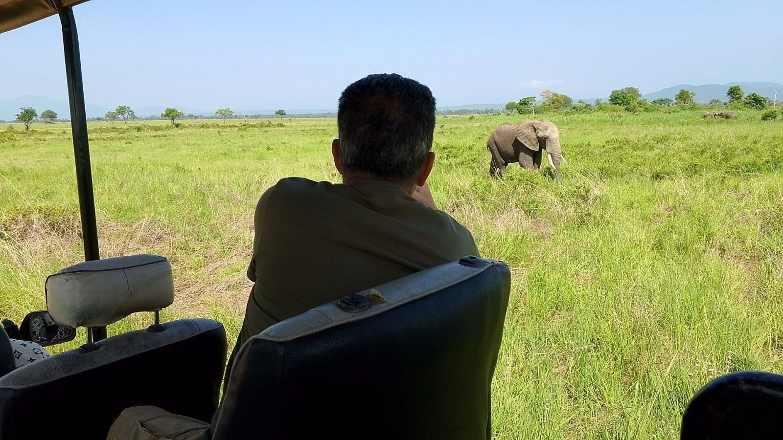 A guest leaning from a vehicle to photograph an elephant on green floodplain