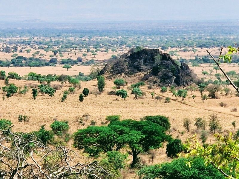 Rolling Hills, Escarpments & Rocky Crags