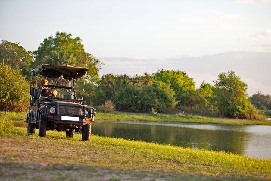A safari vehicle parked beside a palm-fringed river in golden evening light