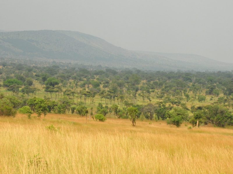 7 Day Northwest Tanzania Safari