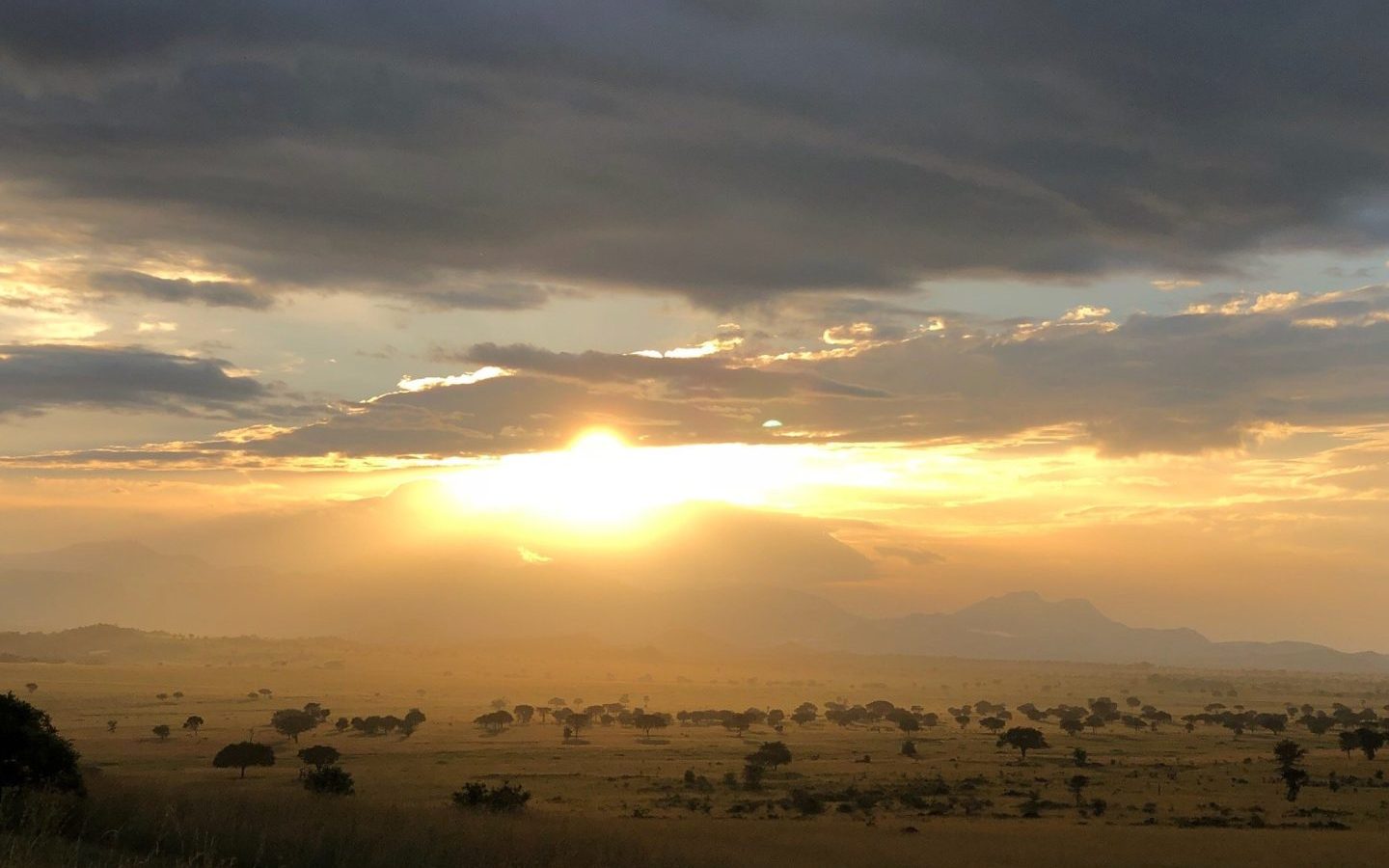 Sunlight breaking through cloud over a vast hazy plain dotted with trees