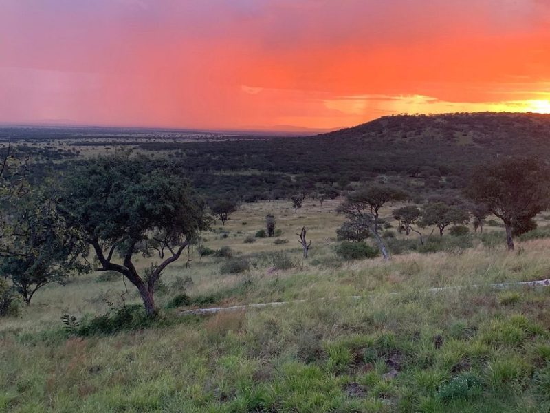 14 Day Tanzania And Zanzibar Safari