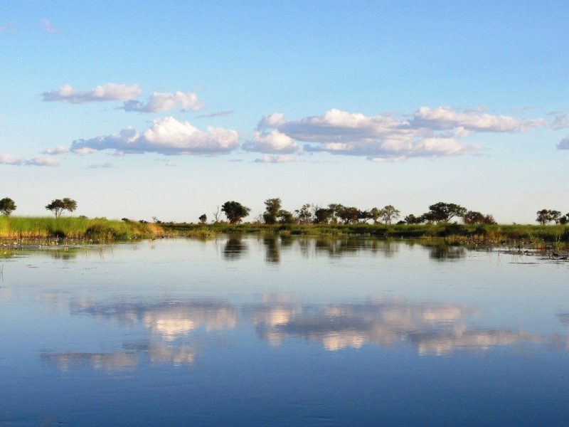 Sitatunga Swamp Habitats