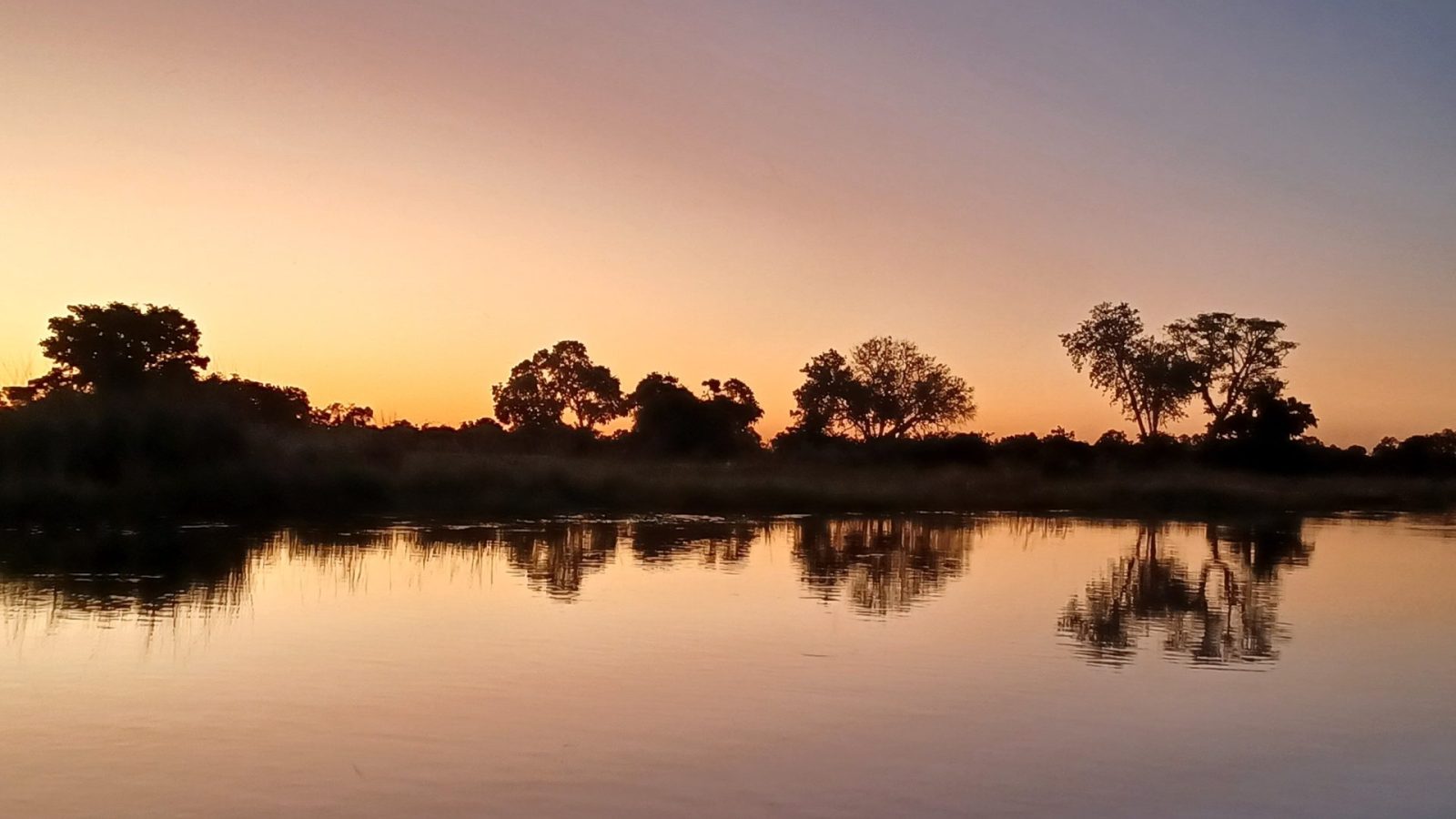 A still wetland channel at dawn with trees reflected in the water