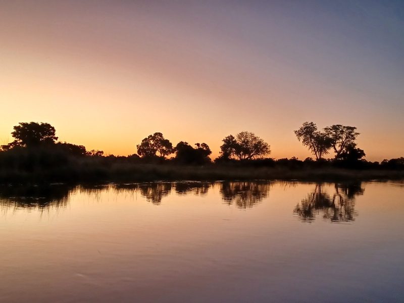 Wetlands & Swamps